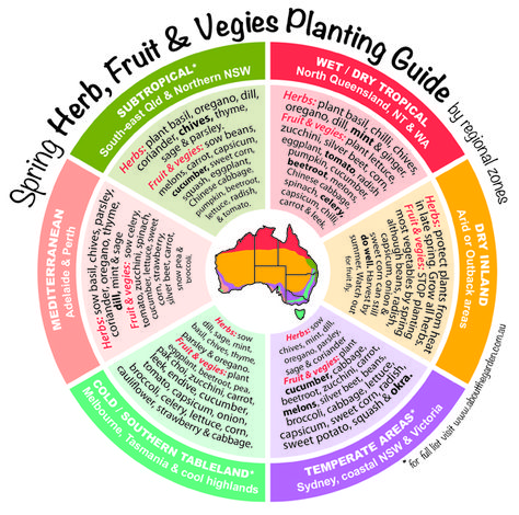 Spring Herb, Fruit & Vegies Planting Guide by temperate zones Au Winter Plants, Oregon Gardening, Flower Planting Guide, Growing Winter Vegetables, Vegetable Planting Guide, Yoga Outdoor, Planting Guide, Vertical Herb Garden, Veggie Patch