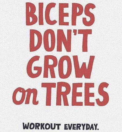 Biceps don't grow on trees! hahaha Humour, Daily Motivation, Fitness Quotes, Warrior Motivation, Motivație Fitness, Goddess Warrior, Motivation Fitness, I Work Out, Arm Workout
