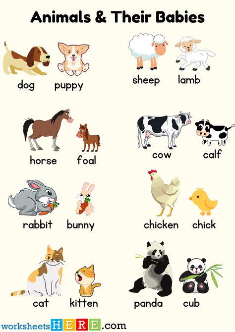 Verbs Kindergarten, Animals Name With Picture, Animals And Their Babies, Grammar Notes, Babies Names, English Grammar Notes, Animal Collective, Color Flashcards, Different Types Of Animals