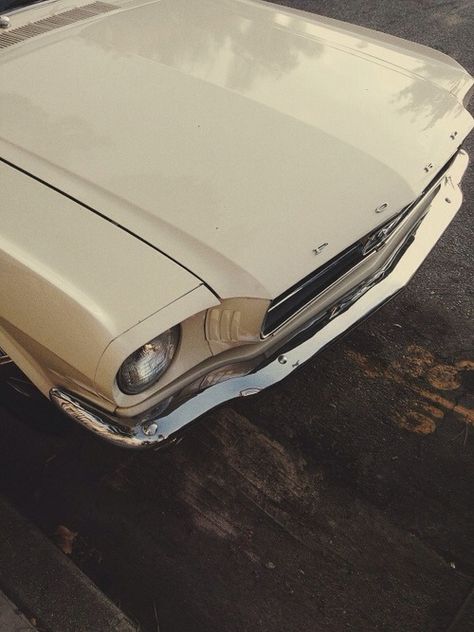 Tumblr, White Mustang Aesthetic, 64 Mustang, White Mustang, Modern Hepburn, Vintage Mustang, Car Goals, Pretty Cars, Trailer Park