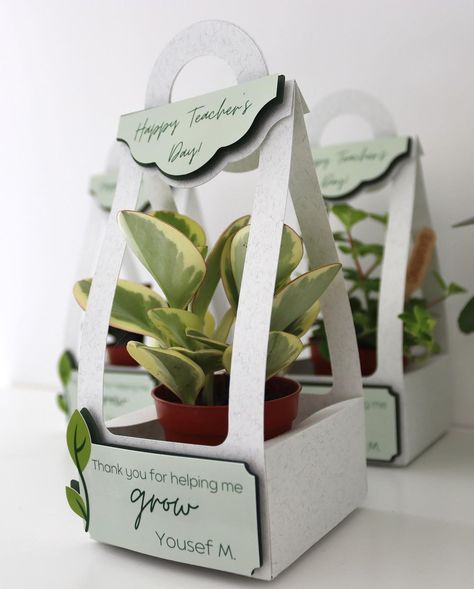 Plants Business Ideas, Gift Plants Ideas, Teachers Day Gifts Creative, Thank You Teacher, Plant Giveaway, Mini Business Ideas, Mini Gift Ideas, Plant Gift Ideas, Plant Packaging