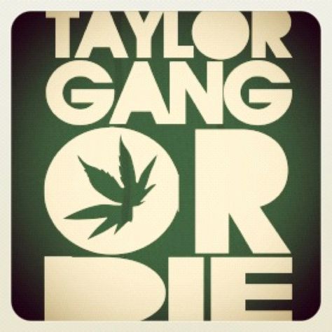 Hell yeah Taylor Gang, Taylors Gang, Wolf Gang, Hell Yeah, The Wiz, Album Art, Album Covers, Love Him, Keep Calm Artwork