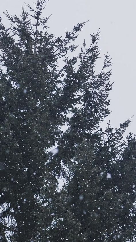 Snow Falling Aesthetic, Mountain Room, Snow Canada, Canada Snow, Acoustic Guitar Photography, Snow Falling, Yamaha Bikes, Back Wallpaper, Guitar Photography