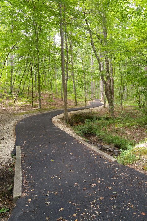 Wore myself out walking the 1.5 mile Battlefield Trail. Nature, Girl Walk, Walking Trail, Nature Walks, History Nerd, Bff Goals, Walking Trails, Walking In Nature, The Battle