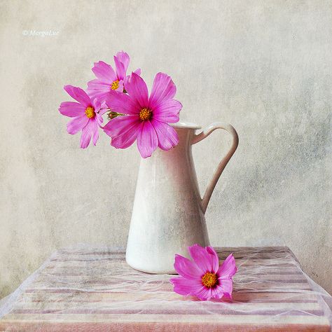 Still Life & Pink Flowers by MargoLuc, via Flickr Acrylic Still Life, Italy Art Print, Cosmos Flowers, Still Life Flowers, Acrylic Painting Flowers, Still Life Photos, Still Life Drawing, Italy Art, Flowers Painting