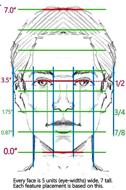 Face Proportions Drawing, Facial Proportions, Face Proportions, Human Body Drawing, Desen Realist, Drawing Heads, Drawing Face, 얼굴 드로잉, Human Anatomy Drawing