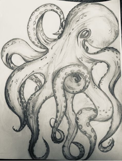 Pencil drawing of an octopus Easy Octopus Drawing, Sea Animals Drawings, Octopus Sketch, Octopus Artwork, Sea Creatures Drawing, Doodling Ideas, Hard Drawings, Octopus Drawing, Body Image Art