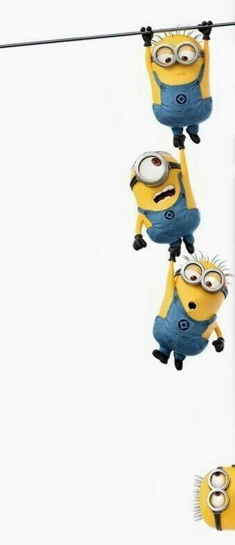 Amor Minions, Minion Rock, 3 Minions, Minion Mayhem, Despicable Minions, Minion 2, Yellow Guy, Cute Minions, Minions Love