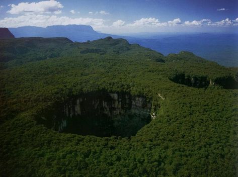 💞 Sarisariñama tepui✨ Sima Humboldt and Sima Martel 📷 Unkown #Tepuy #Paradise #AmazingPlaces #Canaima #HypnoticPlaces unesco world heritage Nature, Mount Roraima, Film Up, Paradise Falls, Natural Swimming Pool, The Lost World, View Map, Unesco World Heritage, World Heritage Sites