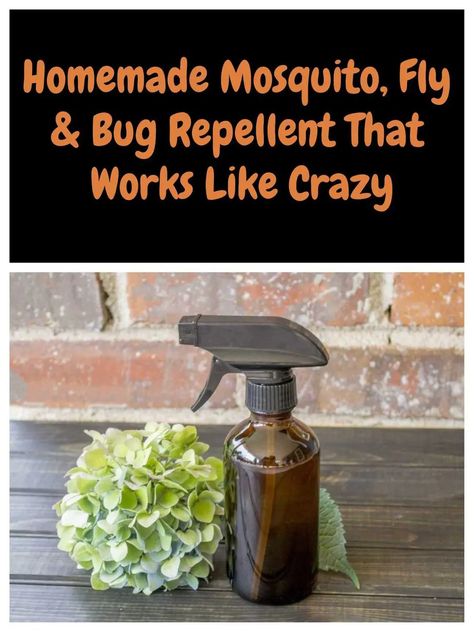 Outside Mosquito Repellent, Homemade Mosquito Spray For Skin, Non Toxic Mosquito Repellent, Diy Natural Bug Repellent, Fly And Mosquito Repellant, Mosquito Repellent Homemade For Skin, Best Mosquito Repellent For Skin, Natural Mosquito Repellant For Skin, Homemade Mosquito Repellent For Skin