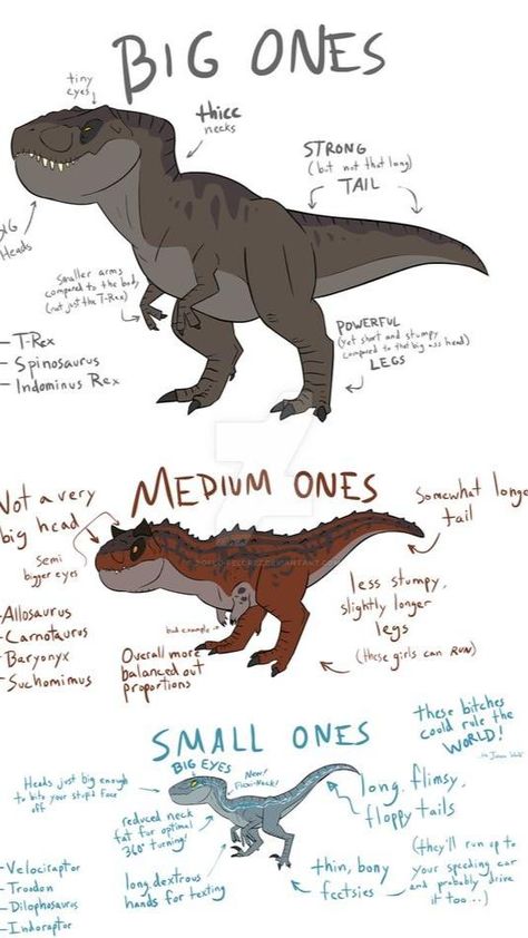 Dragons And Dinosaurs, Cool Dinosaur Art, Dinosaur Cute Art, Dinosaur Poses Reference, Dinosaur Reference Drawing, Raptor Dinosaur Drawing, How To Draw A Dinosaur, Dinosaur Oc, Species Drawing