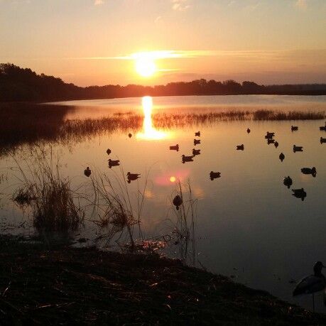 Nature, Hunting Widgets, Duck Hunting Aesthetic, Duck Ponds, Hunting Aesthetic, Bow Hunting Women, Hunting Pics, Fall Hunting, Outdoor Hobbies