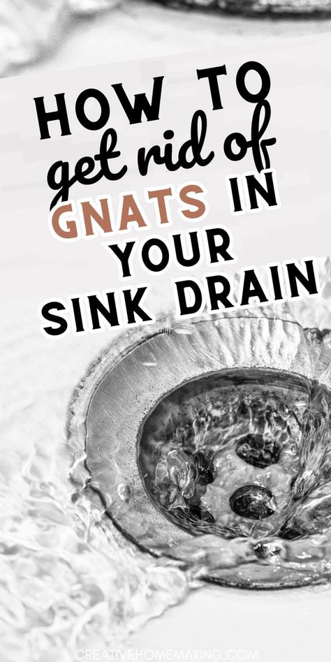 Discover the best ways to eliminate gnats from your sink drain and enjoy a clean, pest-free kitchen. Say hello to a gnat-free home with our simple solutions! Kitchen Drain Cleaner, Clean Drain With Baking Soda And Vinegar, How To Get Rid Of Knats In The Sink, Cleaning Bathroom Sink Drain, Essential Oils To Get Rid Of Gnats, How Do You Get Rid Of Gnats, Cleaning Drains With Vinegar Baking Soda, Gnats In Sink Drain, How To Get Rid Of Gnats In The Kitchen
