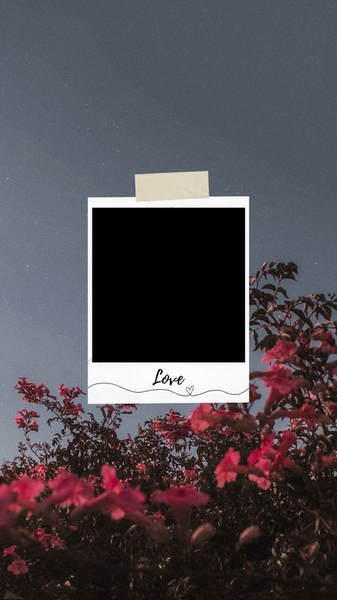 Love Polaroid Template, Balayage, Love Photo Frame Background, Instagram Photo Story Template, Happy Birthday Love Template Instagram, Couple Story Template, Background For Couple Photo Editing, Birthday Templates For Boyfriend, Wedding Anniversary Photo Frame Ideas