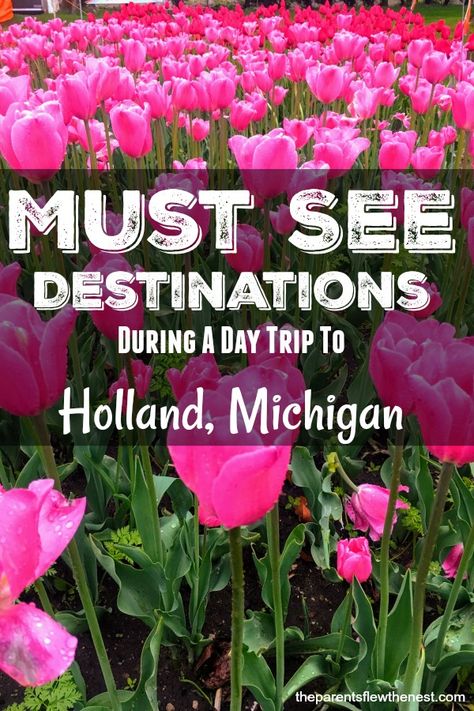 Interested in a day trip to Holland, Michigan? Here are the must see spots. #travel #traveltips #michigan Michigan Day Trips, Cheerleading Pyramids, Flying The Nest, To Holland, Michigan Road Trip, Holland Michigan, Celebrity Travel, Maybe One Day, Wedding Art