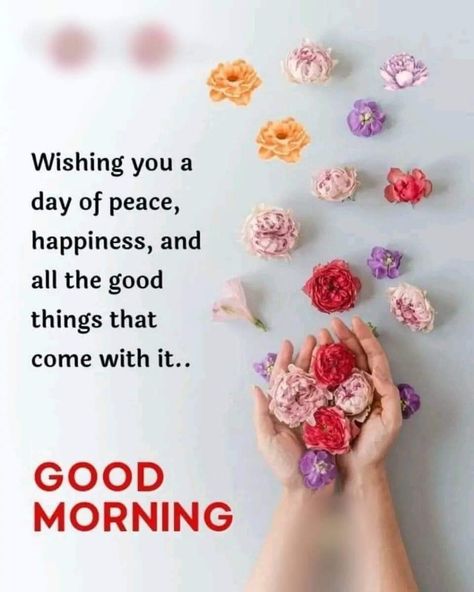 Good Morning Animated Images, Daily Wishes, Good Morning Massage, Good Morning Dear Friend, Positive Good Morning Quotes, Good Morning Sweetheart Quotes, Good Morning Spiritual Quotes, Good Morning Sunshine Quotes, Good Morning Happy Sunday