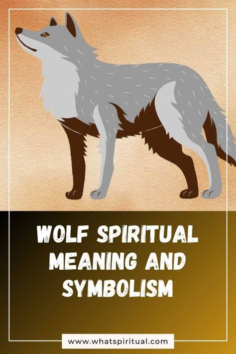 Wolf Spiritual Meaning and Symbolism (+Totem & Spirit) | What Spiritual Wolf Mythology, Wolf Symbolism, Loyalty Symbol, Wolf Totem, 2024 Art, Native American Traditions, Wolf Spirit Animal, Animal Symbolism, Power Animal