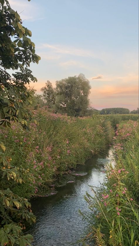 #river #aesthetic #flowers #vintage #sunset Bonito, Nature, Aesthetic River Pictures, Freshwater Aesthetic, Camilla Aesthetic, Aesthetic Flowers Vintage, Stream Aesthetic, German Country, Folk Aesthetic