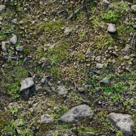 Rocky ground - Openclipart Nature, Earth Texture, Landscape Architecture Graphics, Scale Model Ships, Grass Textures, Wild Forest, Dnd Miniatures, Medieval World, Architecture Graphics