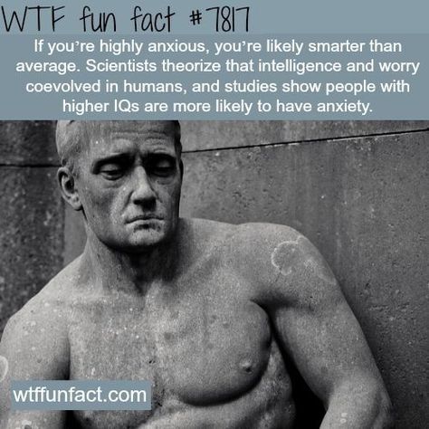 Random Facts, Strange Facts, Facts Funny, Mind Blowing Facts, Intelligent People, Wow Facts, Mic Drop, Unbelievable Facts, Science Facts