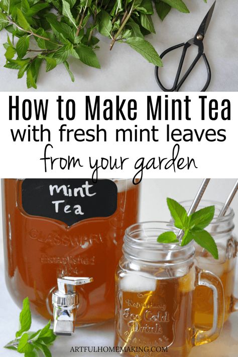 How to Make Mint Tea with Fresh Mint Leaves from your garden. This fresh mint tea is so easy to make, and only has a few ingredients! Fresco, Healthy Summer Drink Recipes, Mint Recipes Fresh, Mint Tea Recipe, Healthy Summer Drinks, Fresh Mint Tea, Mint Iced Tea, Julep Recipe, Mint Drink