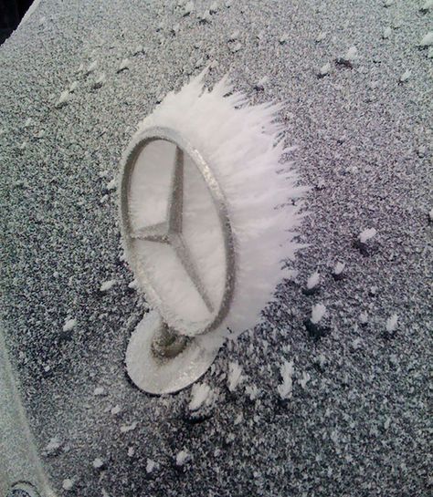 Harsh winter weather turns cars into stunning works of art – Cottage Life Limousin, Mercedes Auto, Car Hood Ornaments, Mercedez Benz, Mercedes Benz Logo, Classic Mercedes, Cars Vintage, Hood Ornaments, Car Logos