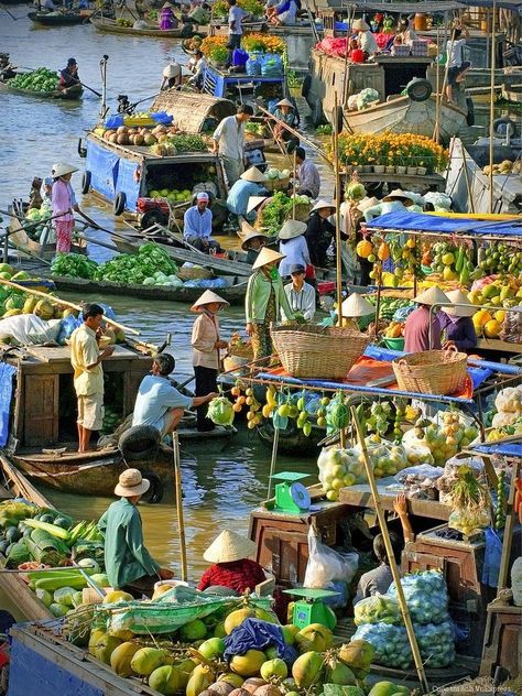 mekong delta 10 best travel places in vietnam Hoi An, Vietnam Itinerary, Beautiful Vietnam, Vietnam Voyage, Vietnam Travel Guide, Visit Vietnam, Vietnam History, Vietnam Tours, Hanoi Vietnam