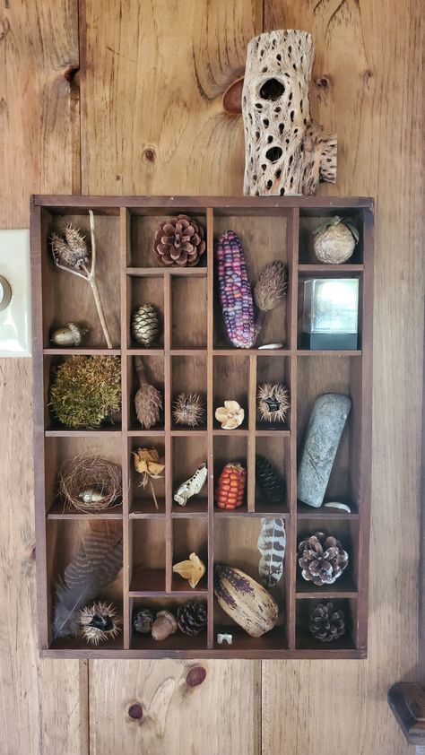 Nature, What Can I Make With A 3d Printer, Curiosity Cabinet Diy, Nature Collection Display, Rock Collection Storage, Airplane House, Nature Display, Curiosity Box, Dark Boho