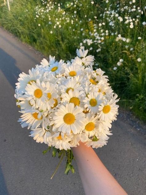 Daisies Bouquet, Frühling Wallpaper, Vintage Flowers Wallpaper, Boquette Flowers, Nothing But Flowers, Cute Flower Wallpapers, Flower Therapy, Beautiful Bouquet Of Flowers, Daisy Flowers