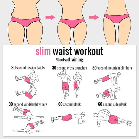 #doubletap if you want a smaller waist! Then you need to SAVE this post, try these great exercises and FOLLOW @factsoftraining for more… Sixpack Workout, Small Waist Workout, Beginner Workouts, Best Workout Plan, Sports Fit, Smaller Waist, Summer Body Workouts, Fitness Routines, Trening Fitness