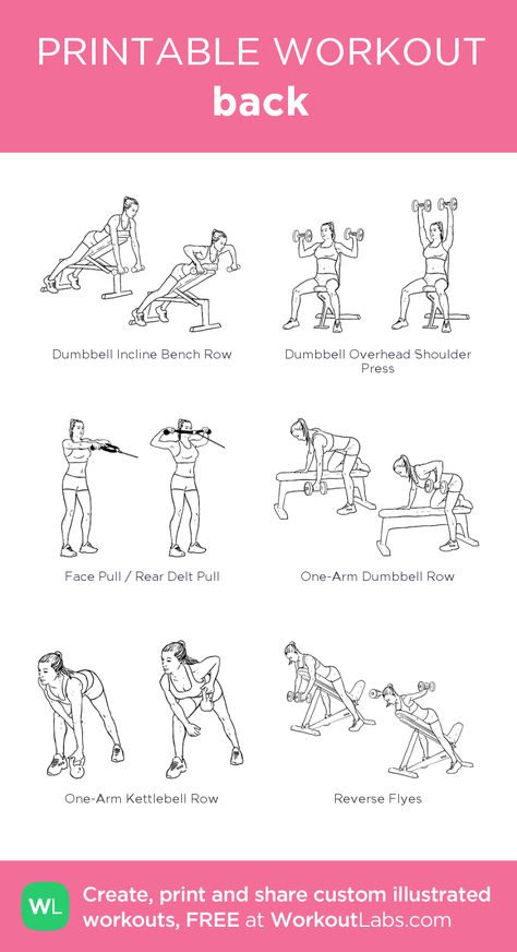 Back Bench Workout, Curcit Workout, Back And Tricep Workout Gym, Bench Back Workout, Weight Bench Workout For Women, Back Workout Gym, Gym Back Workout, Back And Bicep Workout, Workout Labs