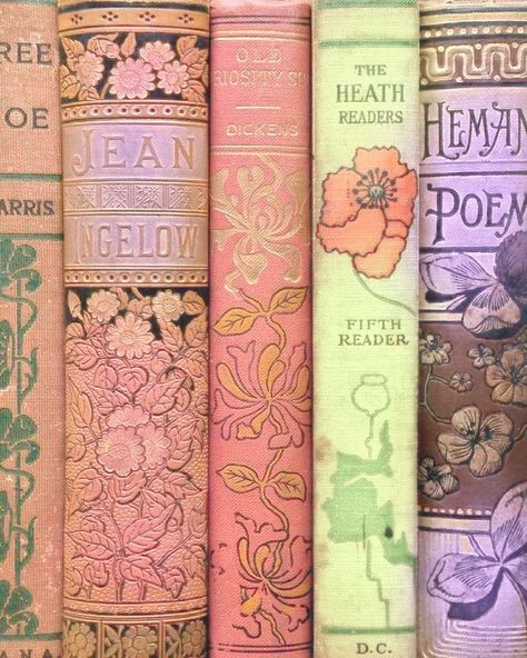 Vintage Book Covers, Pastel Academia Aesthetic, Colorful Academia, Pastel Academia, Pink Academia, Aesthetic Reading, Emoji Challenge, Library Aesthetic, Inspiration Painting