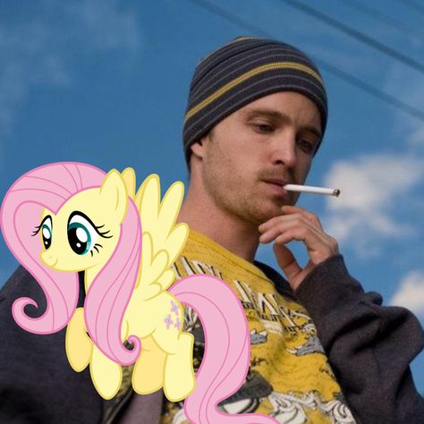 Jesse Pinkman Memes, Jesse Pinkman Funny, Breking Bad, Breaking Bad Jesse, Braking Bad, Breakin Bad, Vince Gilligan, Jesse Pinkman, Aaron Paul