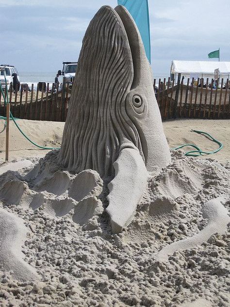 1000+ images about Sand Castles on Pinterest | Sand Sculptures ... Cool Sand Sculptures, Beach Sand Sculptures, Sand Sculptures Easy The Beach, Beach Sculpture, Beached Whale, Beach Sand Castles, Beach Sand Art, Beach Animals, Whale Humpback