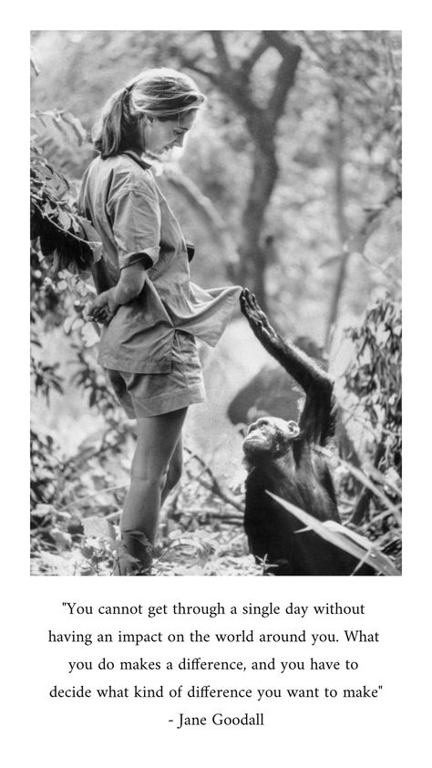 Monkeys, Dian Fossey, Wildlife Biologist, Jane Goodall, Wildest Dreams, Primates, Inspirational Women, In The Woods, Role Models