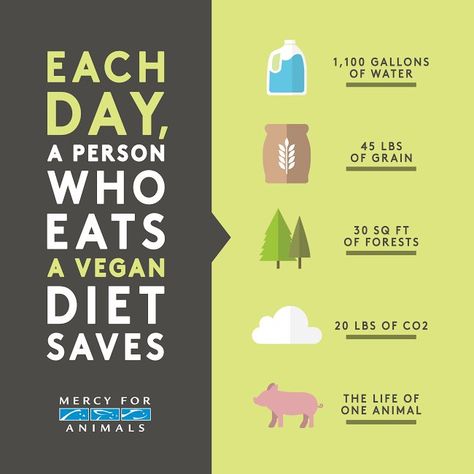 The daily impact of a #vegan diet infographic by Mercy for #Animals via @onreact Vegetarian Benefits, Mercy For Animals, Vegan Facts, Environmentally Friendly Living, Being Vegan, Animal Activism, Why Vegan, Vegan Quotes, Infographic Poster