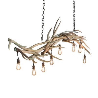 Dramatic wildlife designs come to light. Capture the rustic charm of naturally shed; hand-selected Antlers. No animals are harmed and all Antlers are 100 percent authentic. This stunning chandelier is adorned with eight Edison bulbs and enhanced with an antique copper finish. The overall height ranges from 35 to 64 inches as the chain length can be easily adjusted in the field. The Antlers chandelier is featured in our American-manufactured; American designed; handmade Antlers lighting collectio Horn Decor, Diy Antler, Antler Chandeliers, Lodge Lighting, Modern Linear Chandelier, Antler Lights, Antler Design, Lighted Branches, Branch Chandelier