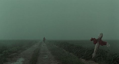 Bong Joon Ho, Memories Aesthetic, Peter Weir, Beautiful Cinematography, Films To Watch, Song Kang Ho, Movie Aesthetic, Shots Ideas, Best Cinematography