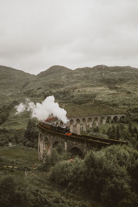 Edinburgh Tours, Outlander Tour, Day Trips From Edinburgh, Scotland Aesthetic, Scotland Tours, Cruise Excursions, Scotland Castles, Edinburgh Scotland, Scotland Travel