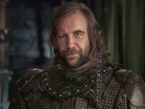 Hound Game Of Thrones, Brandon Sanderson Mistborn, Sandor Clegane, Rory Mccann, Can't Help Myself, Game Of Thones, Brandon Sanderson, The Hound, Dream Boyfriend