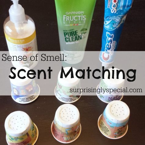 Sense Of Smell Activities Kindergarten, Smell Activities Preschool, Sense Of Smell Activities Preschool, Sense Of Smell Activities, Preschooler Crafts, 5 Senses Craft, 5 Senses Preschool, Construction Theme Preschool, Five Senses Preschool