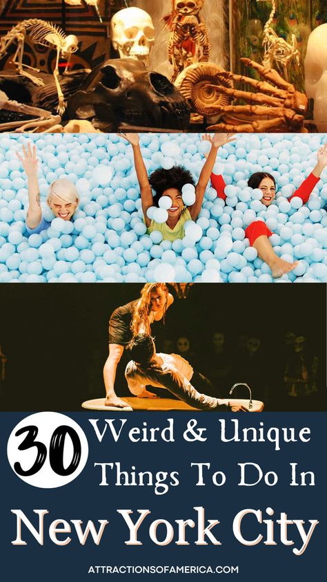 30 Weird and Unique Things To Do in New York City. Nyc Hidden Gems, Things To Do In Nyc, To Do In New York, Cool Things To Do, Unusual Things, Cool Things, The Unexpected, New York Travel, Unique Things