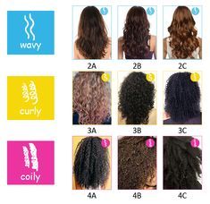 How To Care For Curly Hair – Beauty Talks Curly Hair Problems, Hair Texture Chart, Afro Hair Types, Hair Type Chart, 3c Curly Hair, Hair Chart, Curly Hair Beauty, Natural Hair Types, Hair Length Chart
