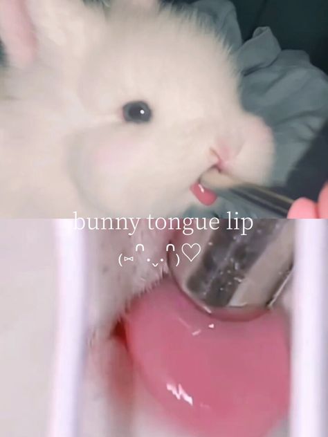 Cruelty Free Bunny Tongue Lip Gloss| The Perfect Pink Lip - Bunny Tounge Gloss, Bunny Tongue Lip, Bunny Lips Makeup, Bunny Tongue Lip Gloss, Bunny Lips, Bunny Tongue, Pink Lip Aesthetic, Bunny Beauty, Lip Gloss Tutorial