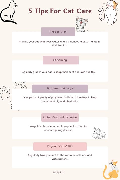 5 Tips for Cat Care Cat Mom Tips, Cat Owner Must Haves, Cat Health Tips, Cat Care Tips Kittens, First Time Cat Owner Tips, Cat Maintenance, Cat Meaning, Kitty Tips, Cat Checklist