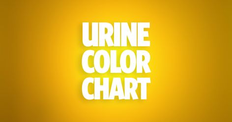 This is how to check your urine color to tell if you're dehydrated Outdoor Gear, Urine Color Chart, Color Of Urine, Urine Color, Dehydration, Free Resume, Color Chart, Sample Resume, To Tell