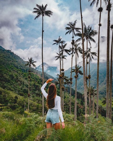 NATHALIE ARON • Travel Blogger on Instagram: “Lost in the jungle of Colombia 🇨🇴 • Which photo is your favorite? 📸 • This beautiful valley is called Valle de Cocora & is my favorite…” Colombia Photo Ideas, Medellin Colombia Aesthetic, Colombia Summer, Colombia Aesthetic, Cheap Holiday Destinations, Cocora Valley, Bali Instagram, Colombia Travel Guide, Beautiful Valley
