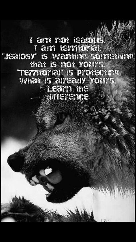 Werewolf Mate Mark Tattoo, Werewolf Quotes, Quotes Warrior, Wolf Pack Quotes, Inspirational Animal Quotes, Lone Wolf Quotes, Wolf Quotes, Survival Quotes, Savage Quotes