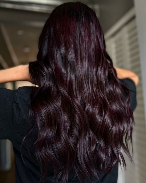 Dark Hair Violet Undertone, Dark Brown With Blonde And Red Highlights, Dark Hair With Burgundy Undertones, Faded Maroon Hair, Midnight Cherry Hair Color, 4vv Hair Color, Hair Color Black Cherry, Deep Cherry Cola Hair, Dark Wine Colored Hair