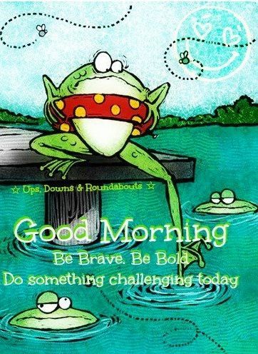 Quote Morning, Frog Quotes, Bisous Gif, Daily Humor, Quotes Good Morning, Quotes Arabic, Good Morning Quote, Morning Quote, Funny Good Morning Quotes